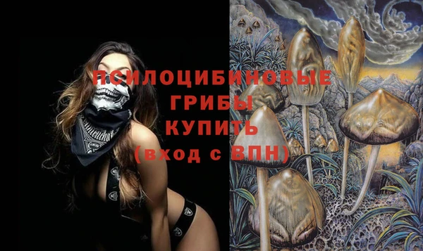 мескалин Заводоуковск